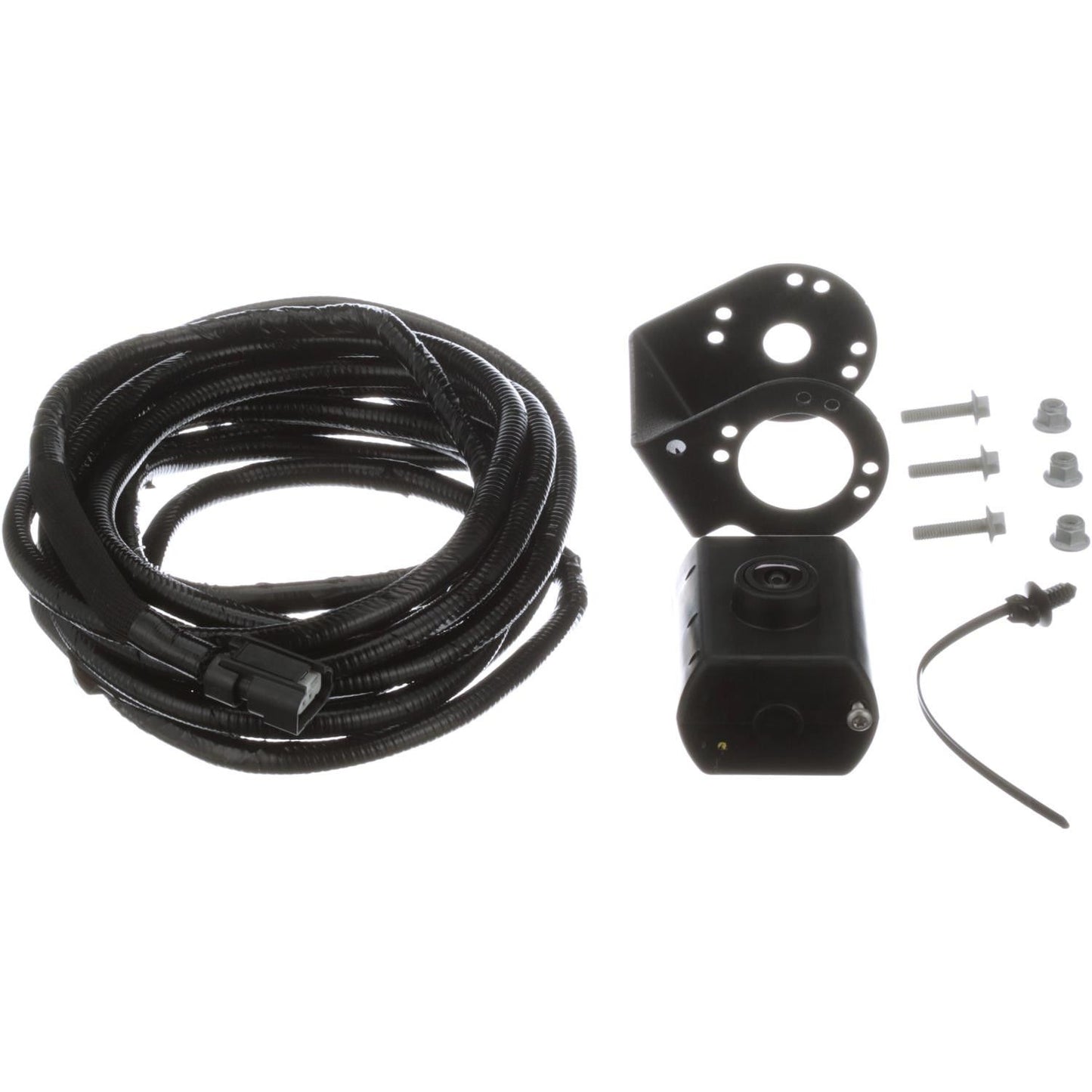 Standard Ignition Park Assist Camera PAC493