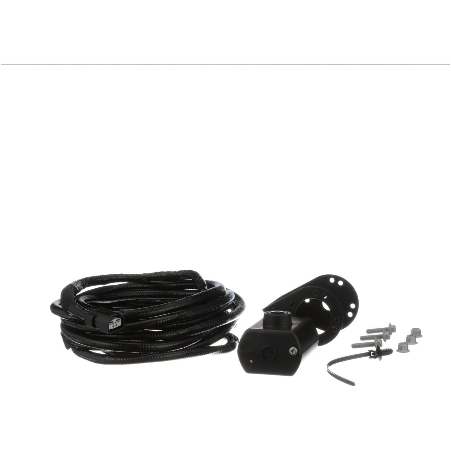 Standard Ignition Park Assist Camera PAC493