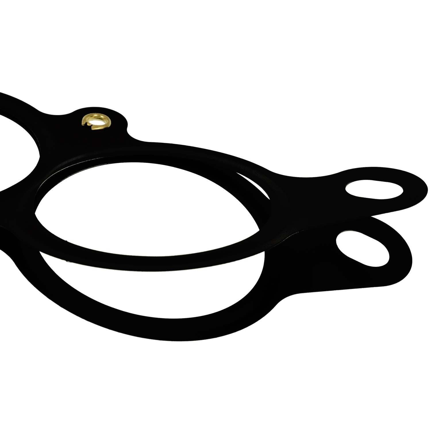 Intermotor Fuel Injection Plenum Gasket PG84
