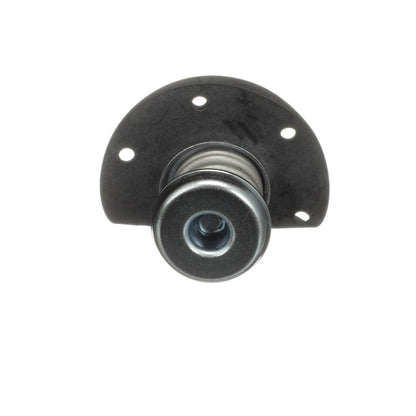 Standard Ignition Fuel Injection Pressure Regulator PR10