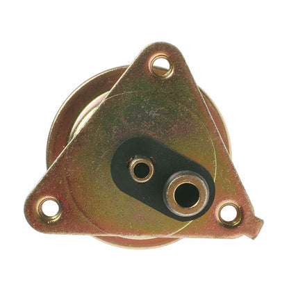 Standard Ignition Fuel Injection Pressure Regulator PR6