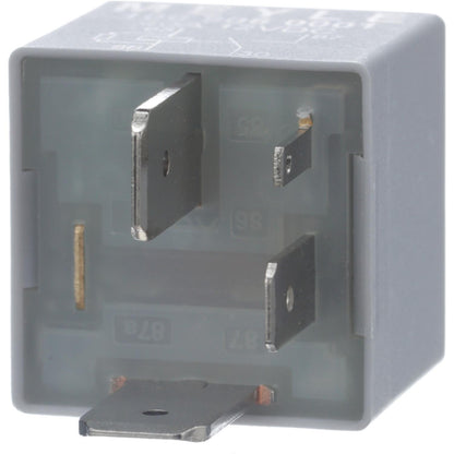Intermotor Fuel Injection Relay RY-494