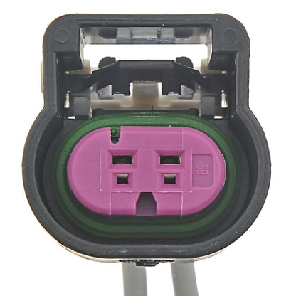 Standard Ignition Body Wiring Harness Connector S-1717