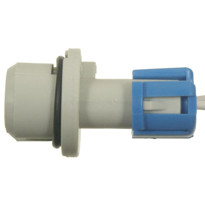 Standard Ignition Multi-Purpose Light Bulb Socket S-1724