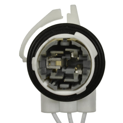 Standard Ignition Multi-Purpose Light Bulb Socket S-1725