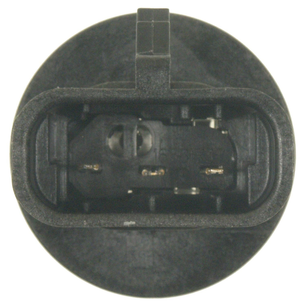 Standard Ignition Multi-Purpose Light Bulb Socket S-1735