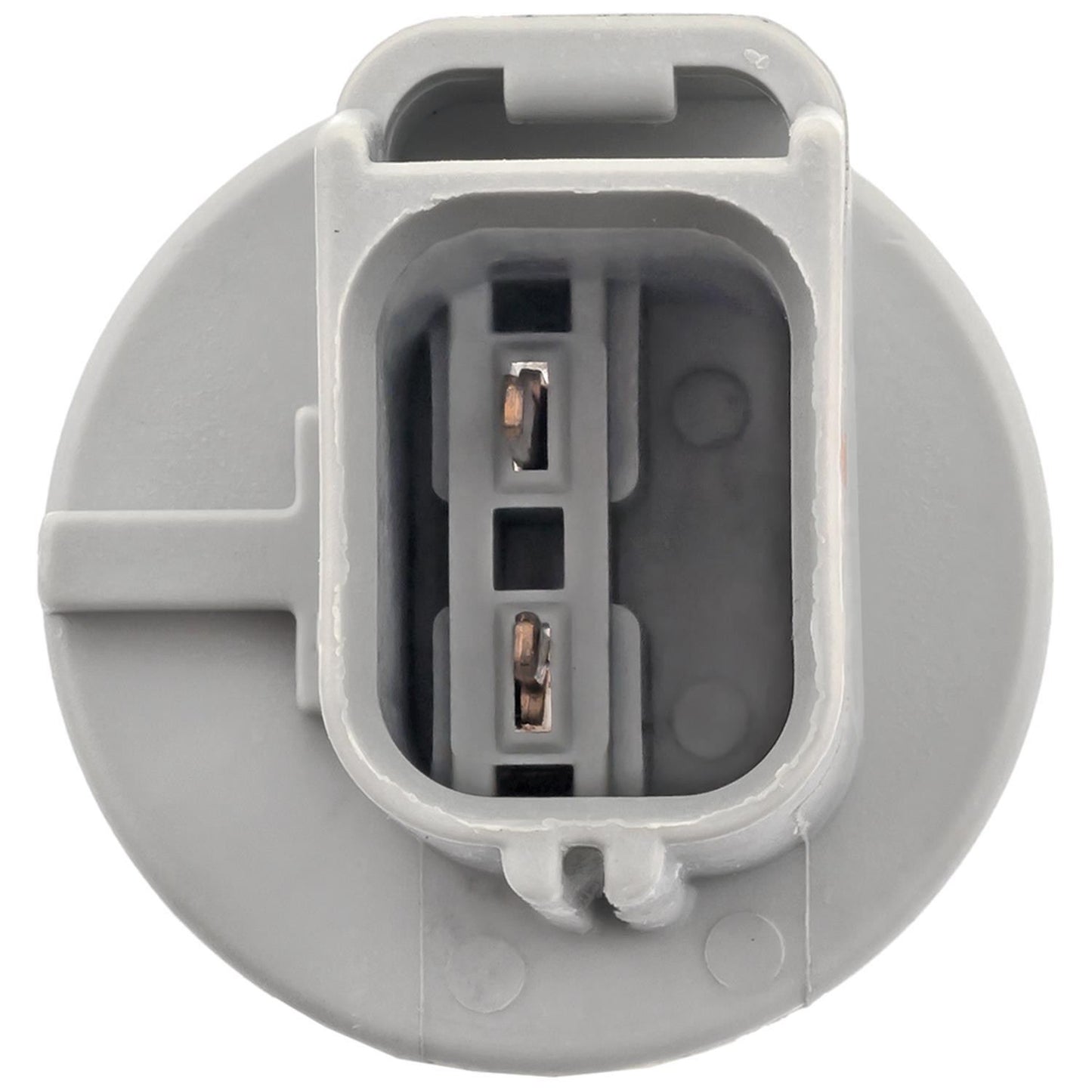 Standard Ignition Multi-Purpose Light Bulb Socket S-1836