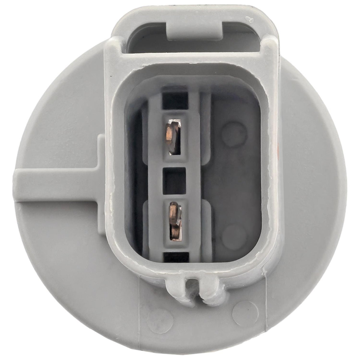 Standard Ignition Multi-Purpose Light Bulb Socket S-1836
