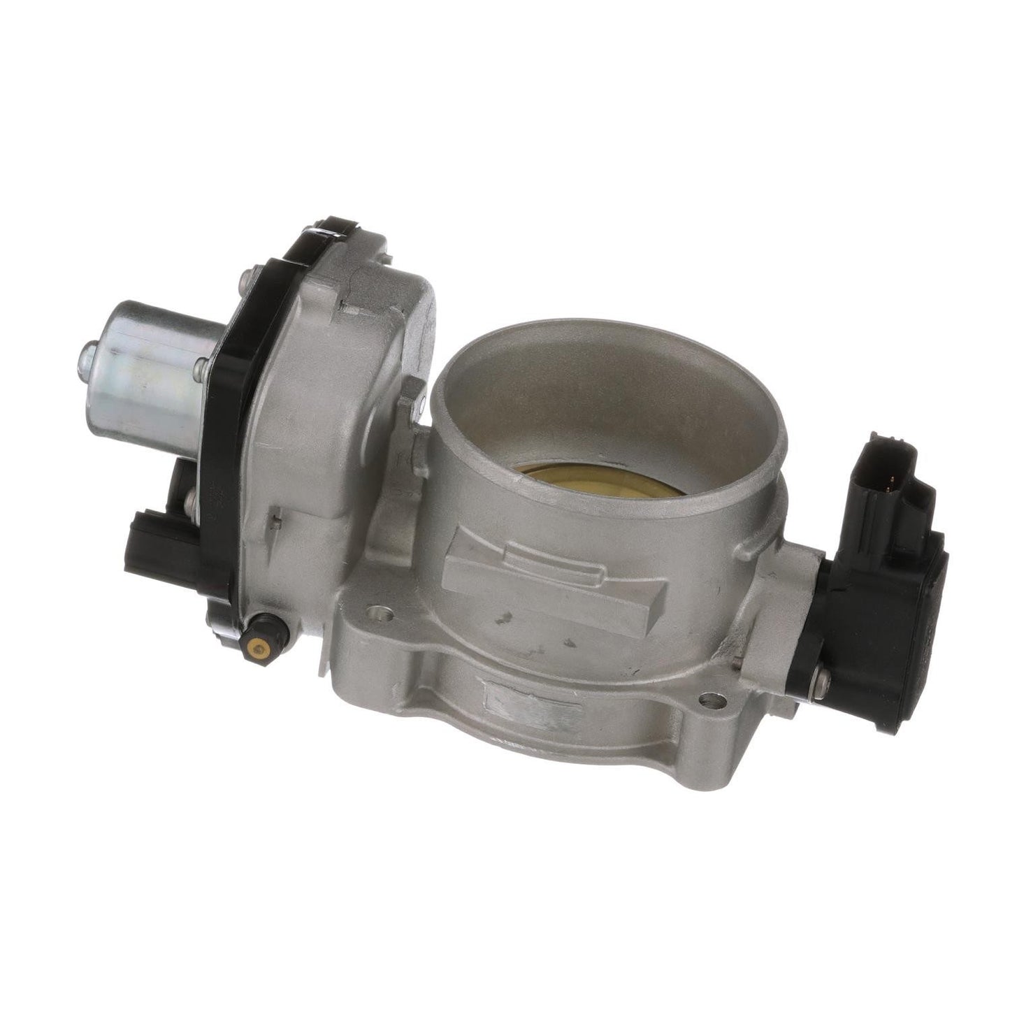Standard Ignition Fuel Injection Throttle Body S20022