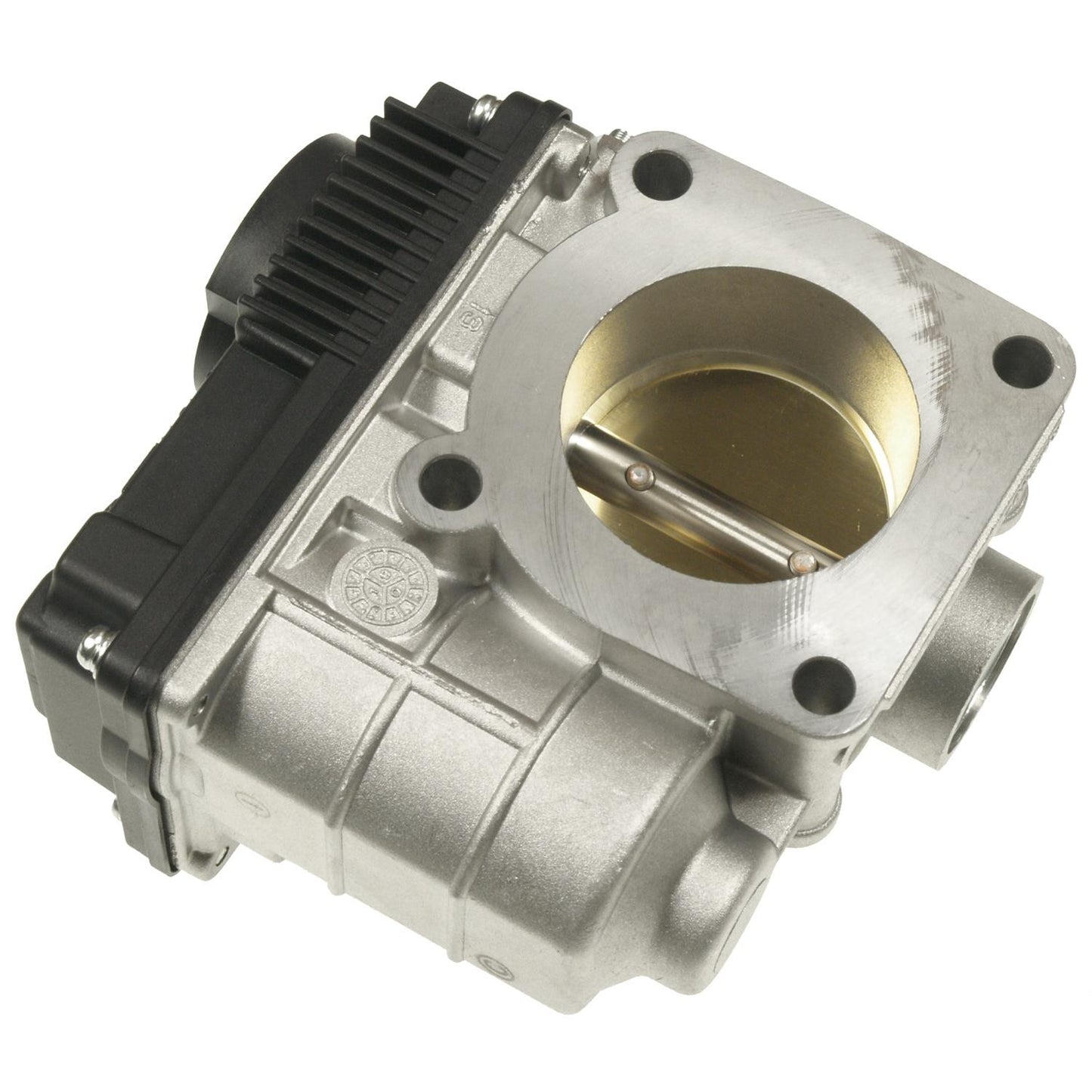 TechSmart Fuel Injection Throttle Body S20052