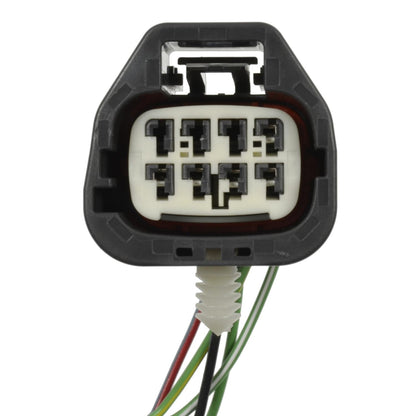 Standard Ignition Tail Light Socket S2136