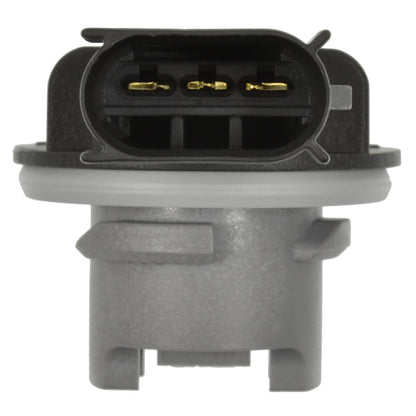 Standard Ignition Tail Light Socket S-2289