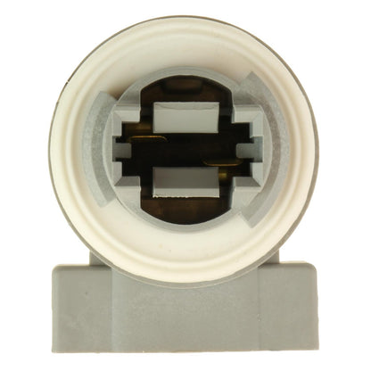 Standard Ignition Tail Light Socket S2353