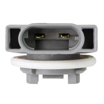 Standard Ignition Tail Light Socket S2353