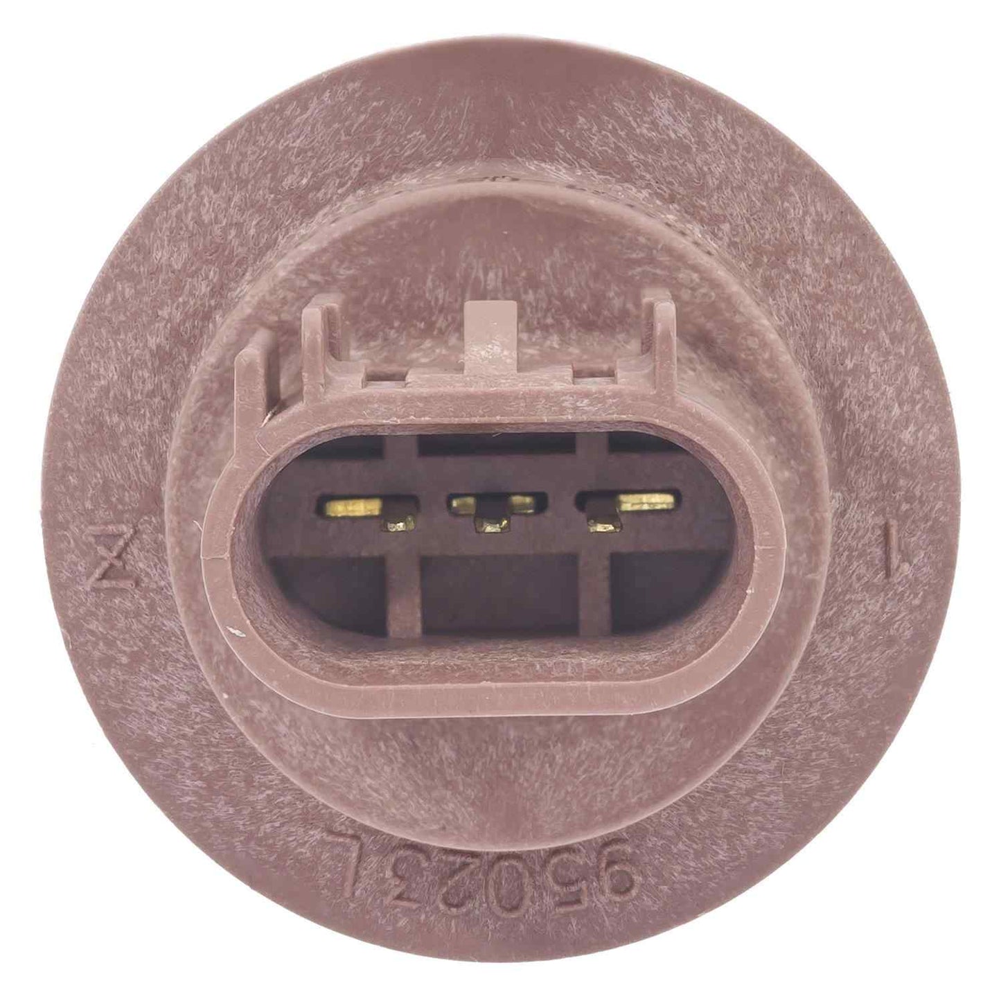 Standard Ignition Turn Signal Light Socket S2552