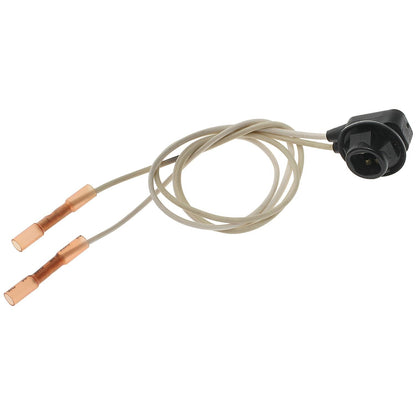 Standard Ignition Multi-Purpose Light Bulb Socket S2563