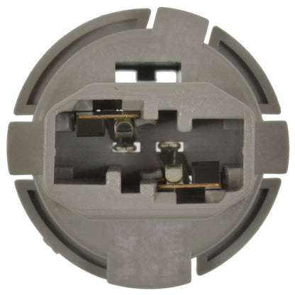 Intermotor Back Up Light Socket S2566