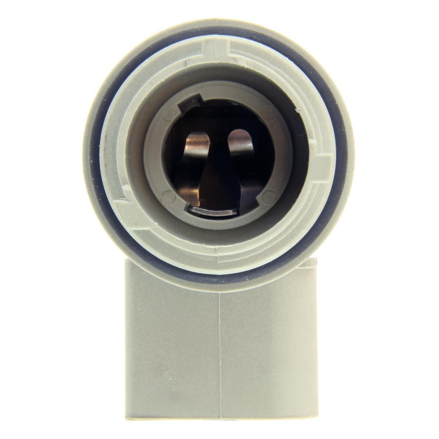 Intermotor Tail Light Socket S2568