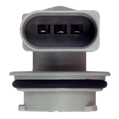 Intermotor Tail Light Socket S2568
