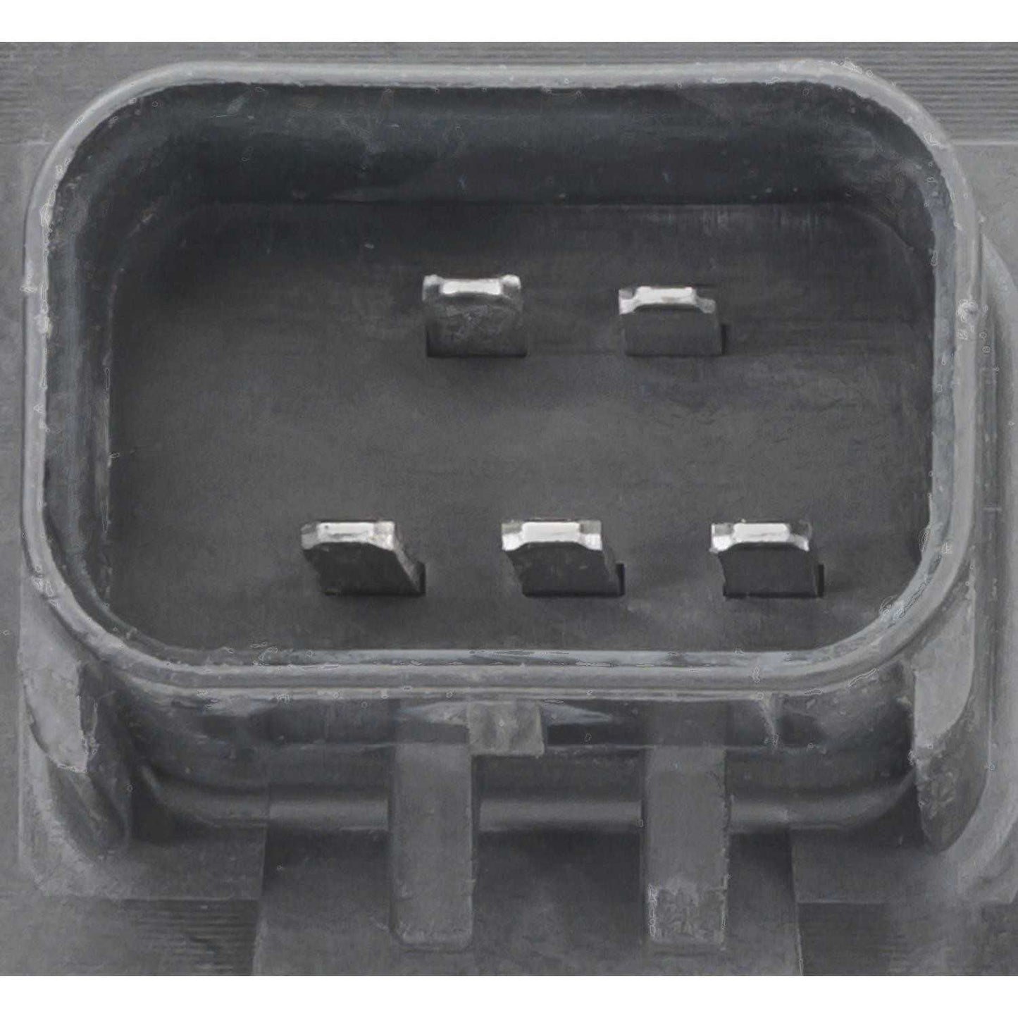 Standard Ignition Multi-Purpose Light Bulb Socket S2604