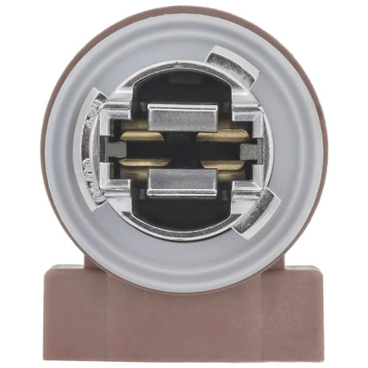 Standard Ignition Back Up Light Socket S2606