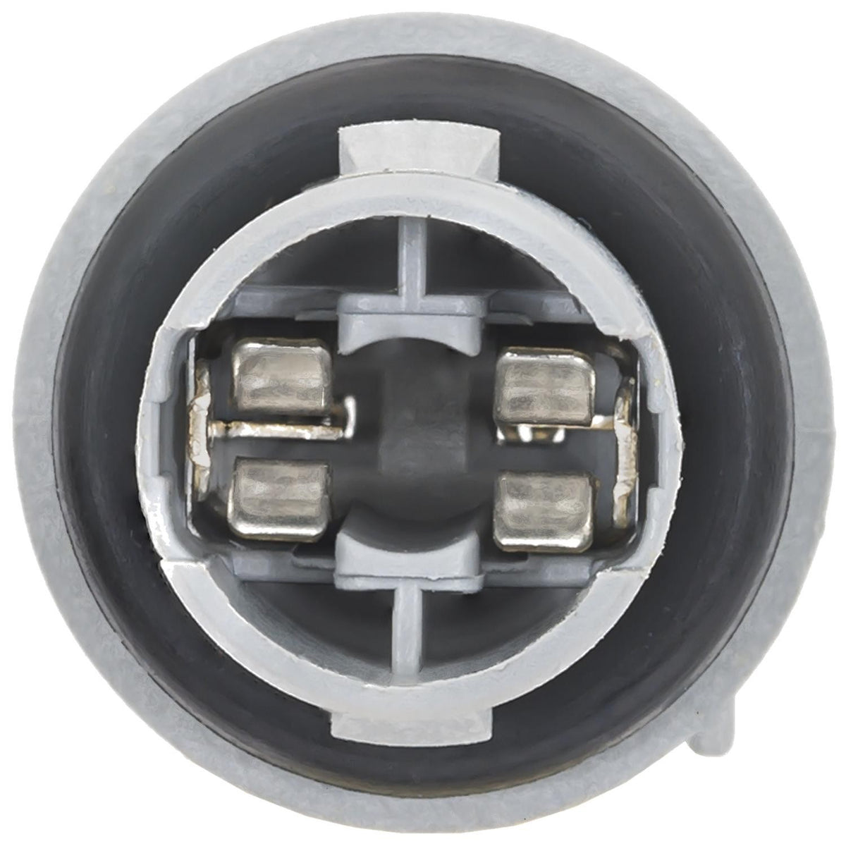 Standard Ignition Back Up Light Socket S2607