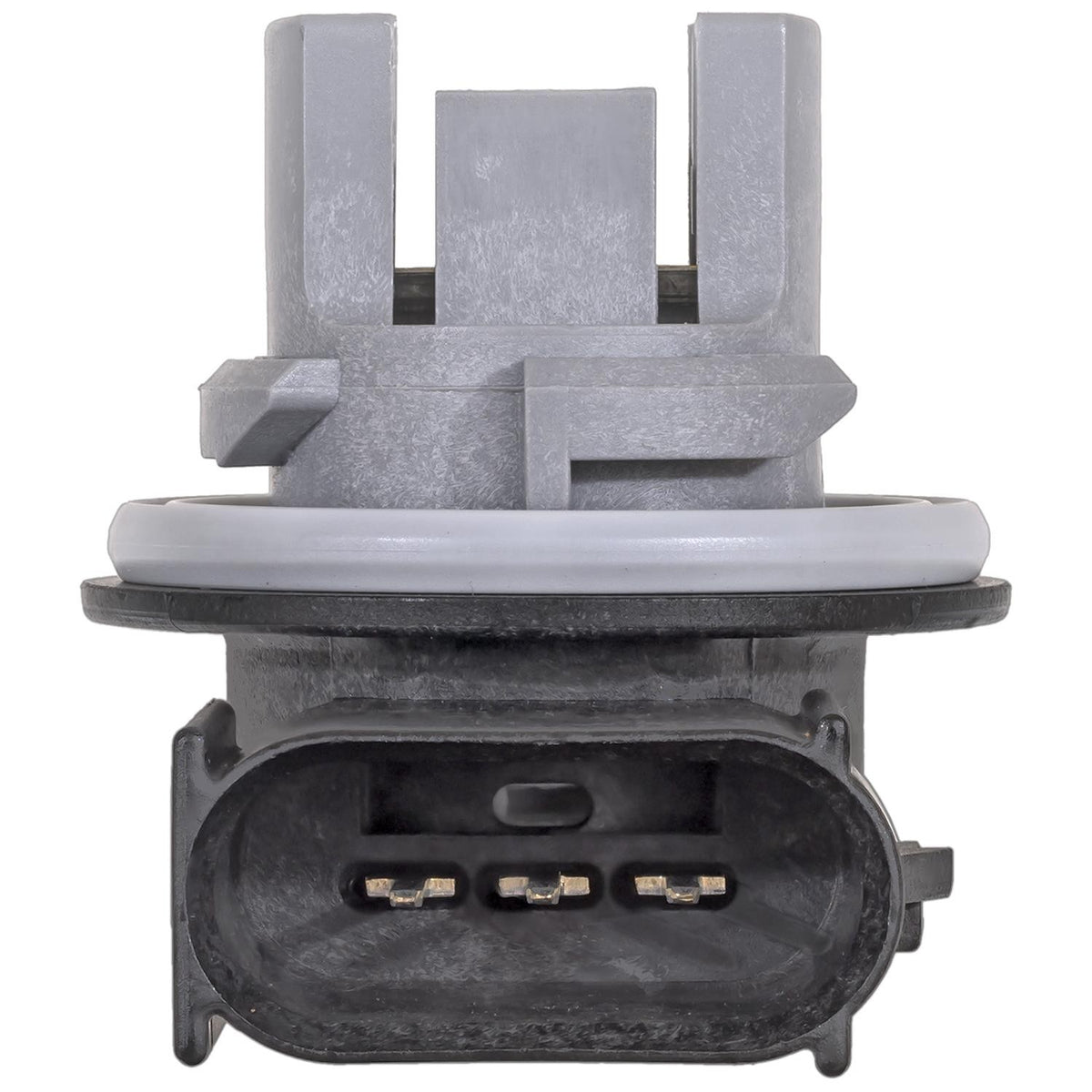Standard Ignition Tail Light Socket S2610