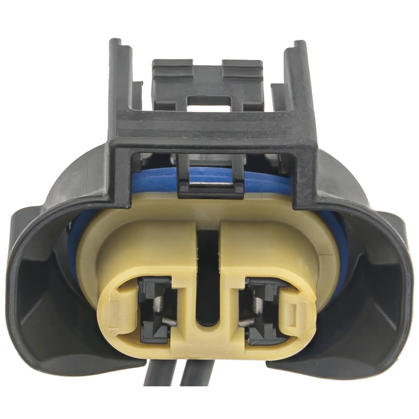 Intermotor Socket S2611