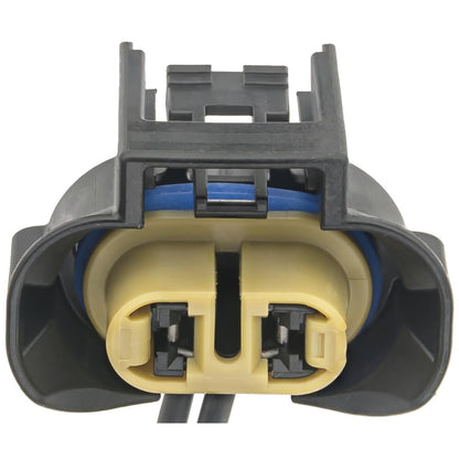 Intermotor Socket S2611