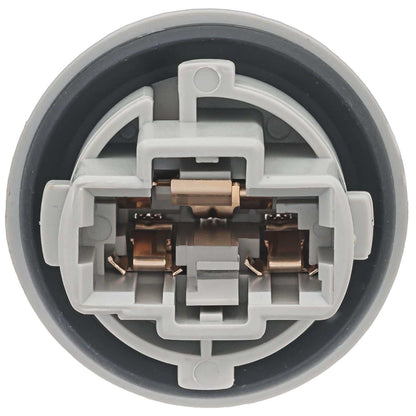 Intermotor Tail Light Socket S2612