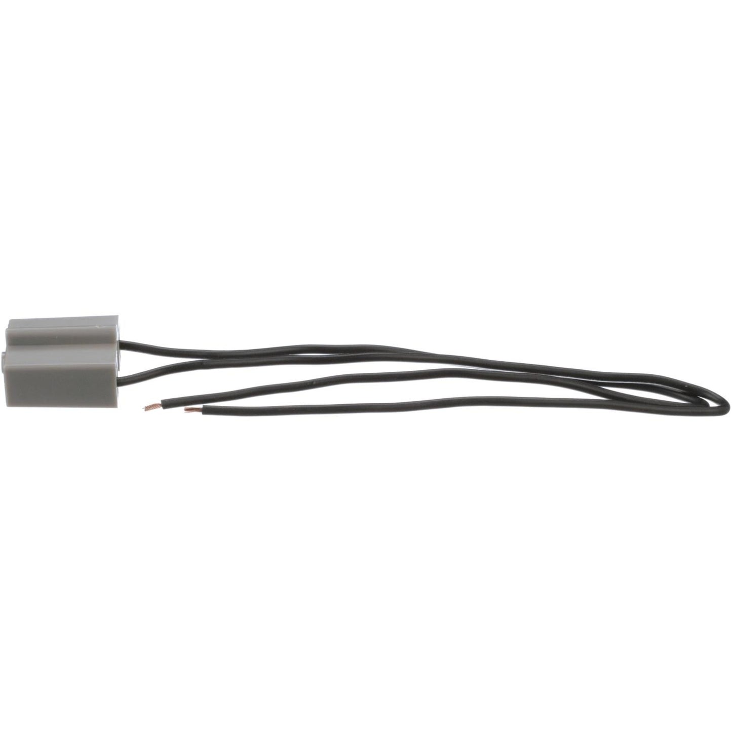 Standard Ignition Fog Light Socket S-529