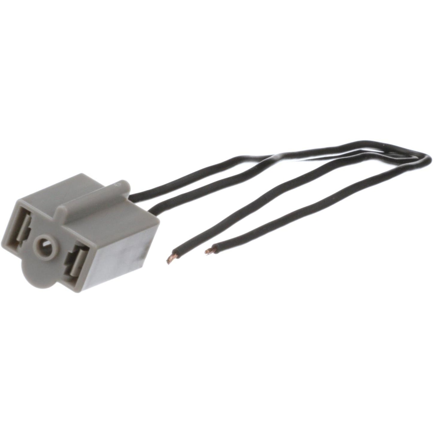 Standard Ignition Fog Light Socket S-529