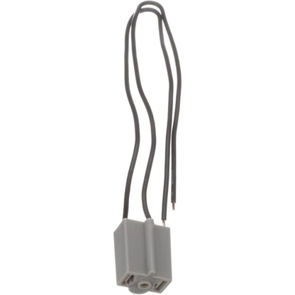 Standard Ignition Fog Light Socket S-529