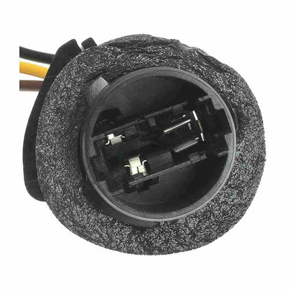 Standard Ignition Multi-Purpose Light Bulb Socket S-559