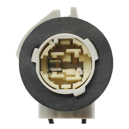 Standard Ignition Multi-Purpose Light Bulb Socket S-586