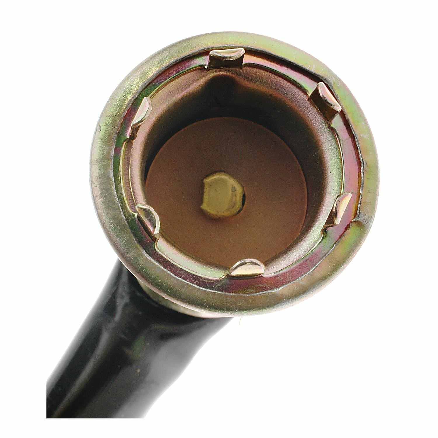 Standard Ignition Multi-Purpose Light Bulb Socket S-62