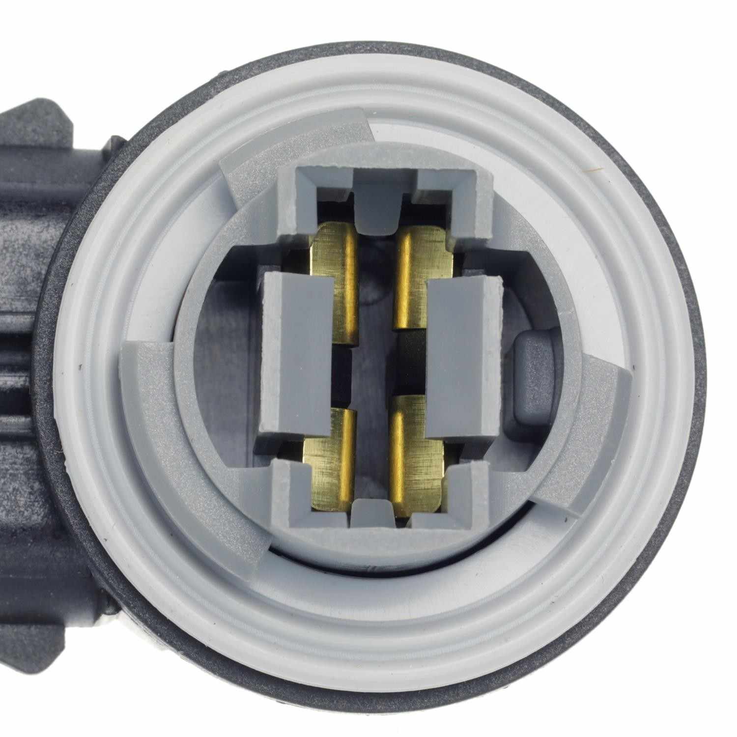 Standard Ignition Multi-Purpose Light Bulb Socket S-787