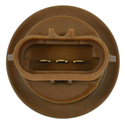 Standard Ignition Multi-Purpose Light Bulb Socket S-808