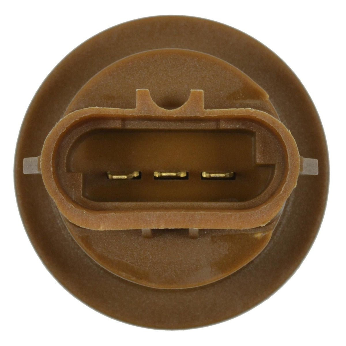 Standard Ignition Multi-Purpose Light Bulb Socket S-809