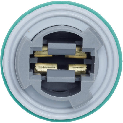 Standard Ignition Socket S-810