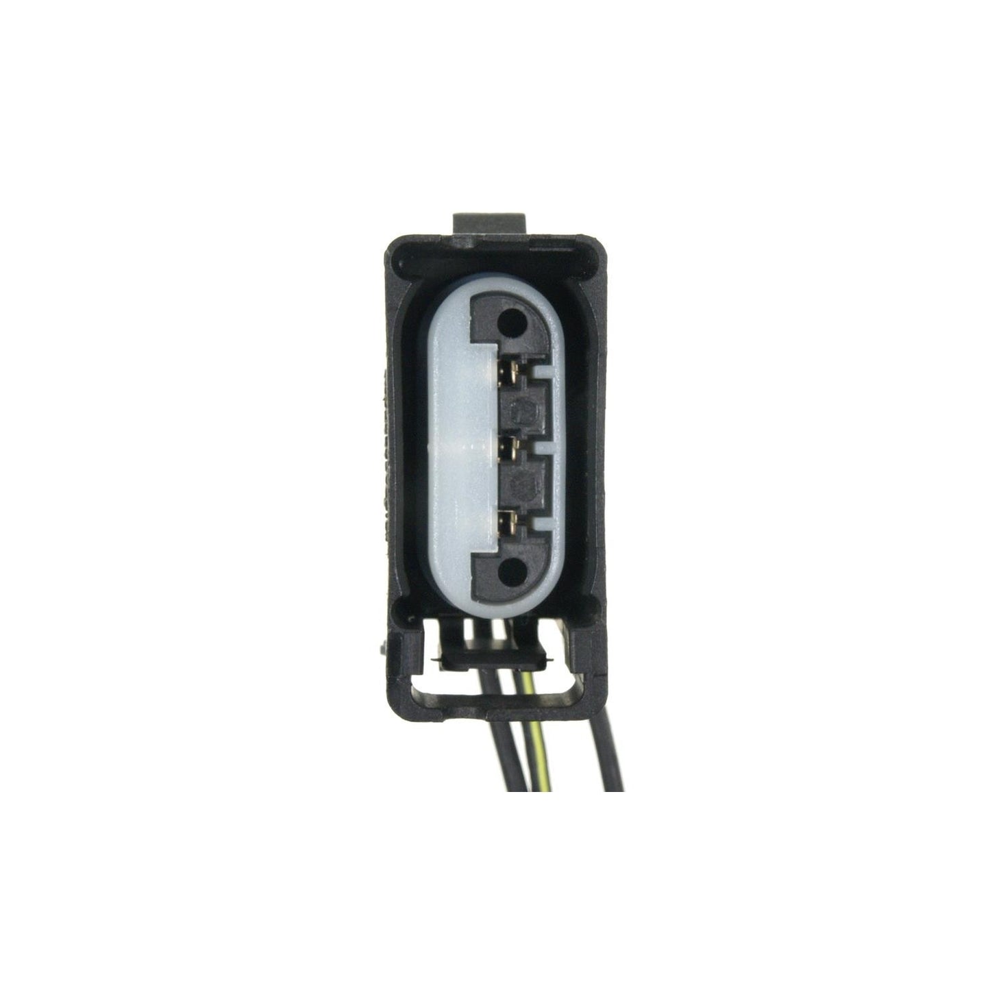 Standard Ignition Cornering Light Socket Connector S-895