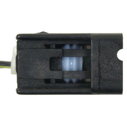 Standard Ignition Cornering Light Socket Connector S-895