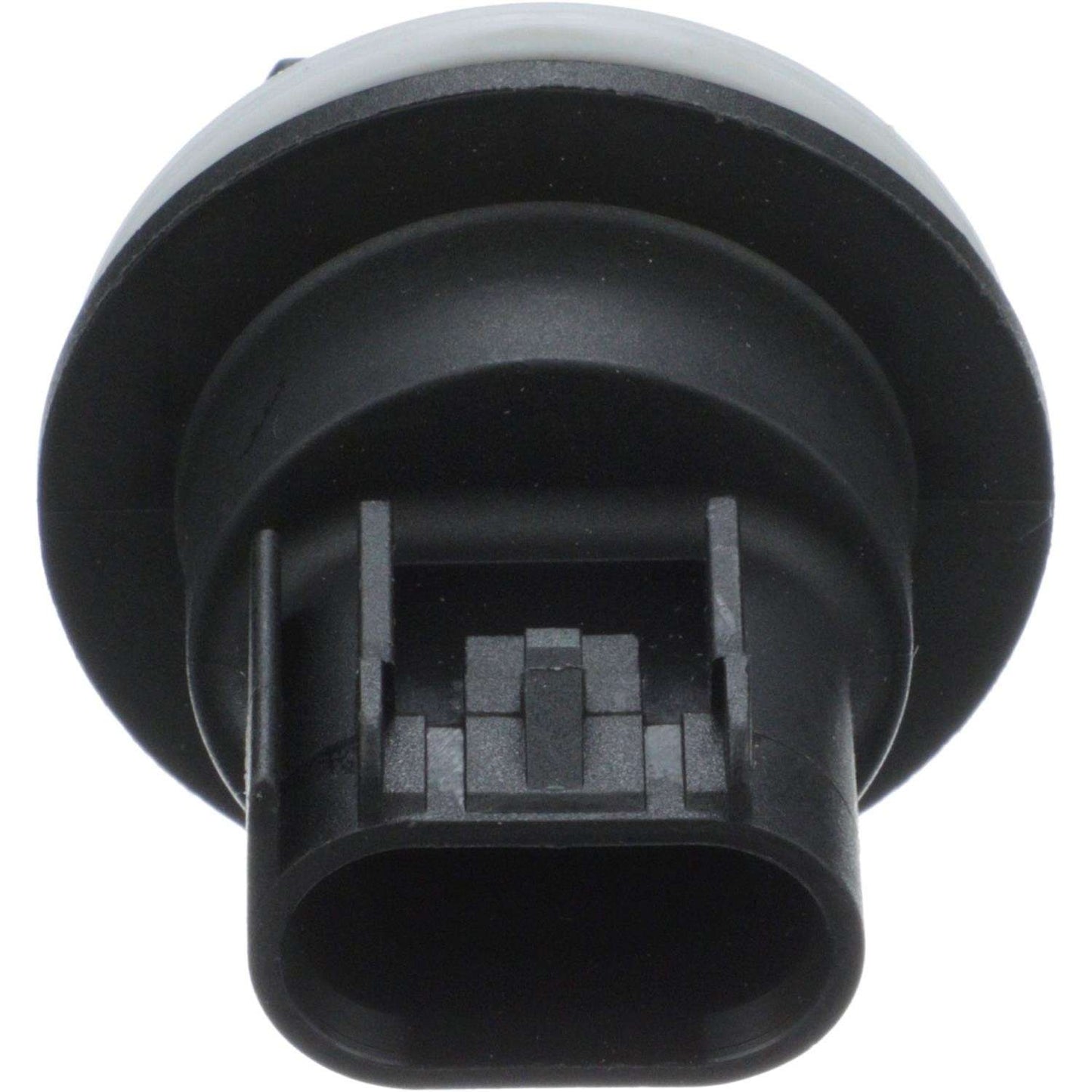 Standard Ignition Multi-Purpose Light Bulb Socket S-907