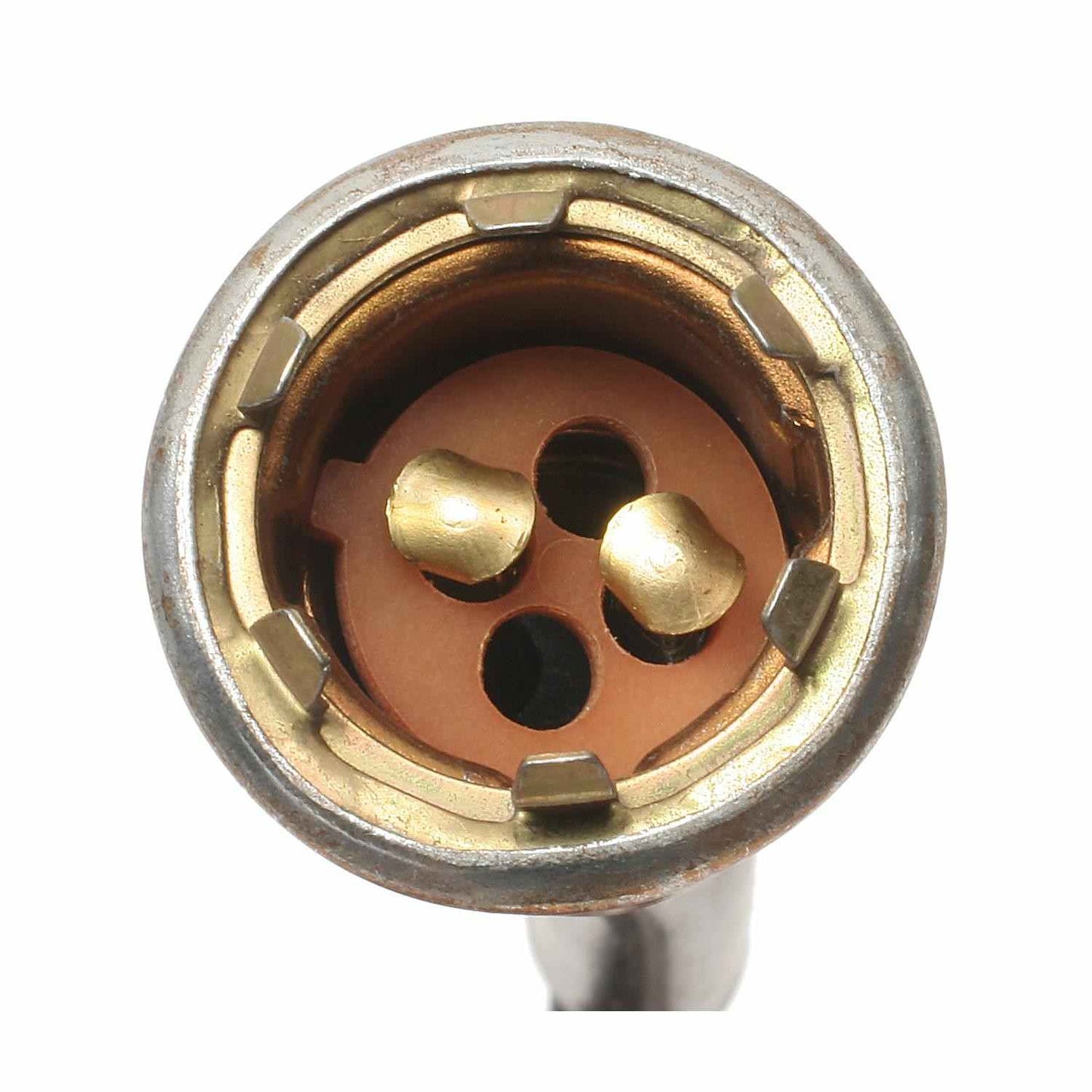 Standard Ignition Multi-Purpose Light Bulb Socket S-91