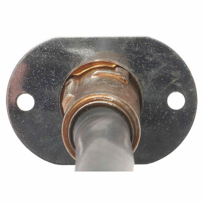 Standard Ignition Multi-Purpose Light Bulb Socket S-91