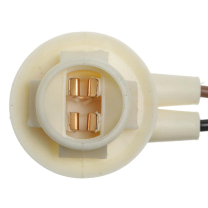 Standard Ignition Multi-Purpose Light Bulb Socket S-95