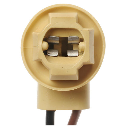 Standard Ignition Multi-Purpose Light Bulb Socket S-95
