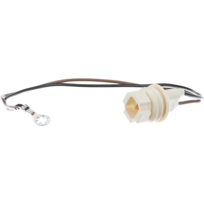 Standard Ignition Multi-Purpose Light Bulb Socket S-99