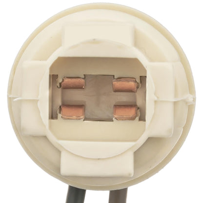 Standard Ignition Multi-Purpose Light Bulb Socket S-99