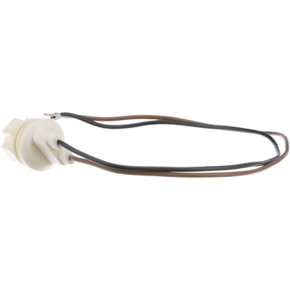 Standard Ignition Multi-Purpose Light Bulb Socket S-99